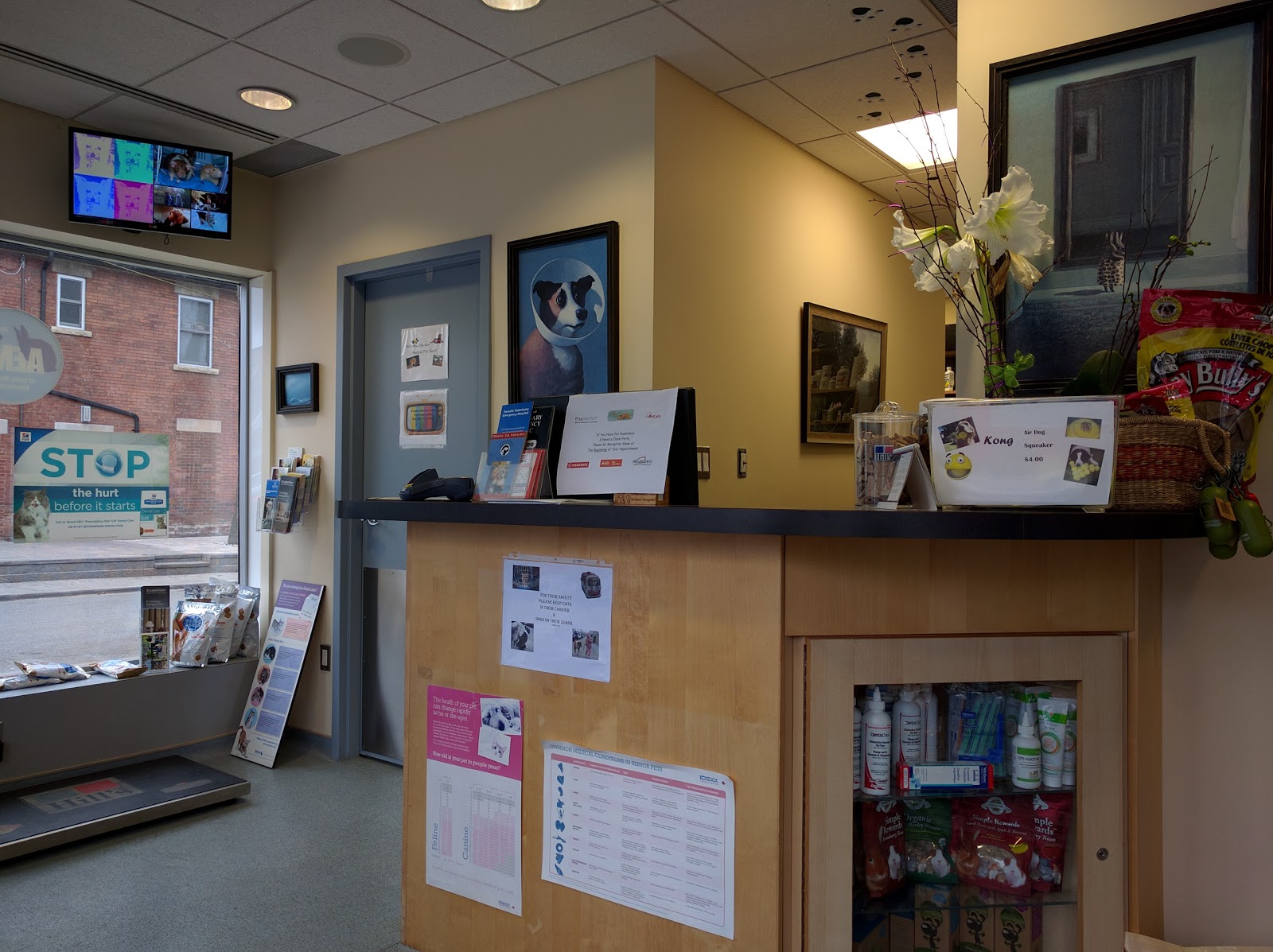 Greenwood Park Animal Hospital - Toronto , Canada