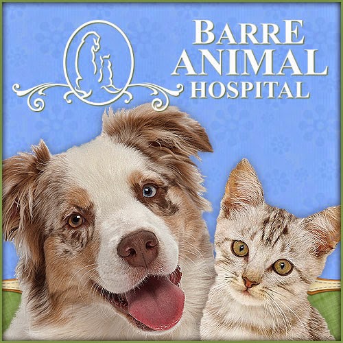 Barre Animal Hospital - Holley , United States