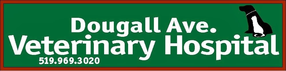 Dougall Avenue Veterinary Hospital - Windsor , Canada