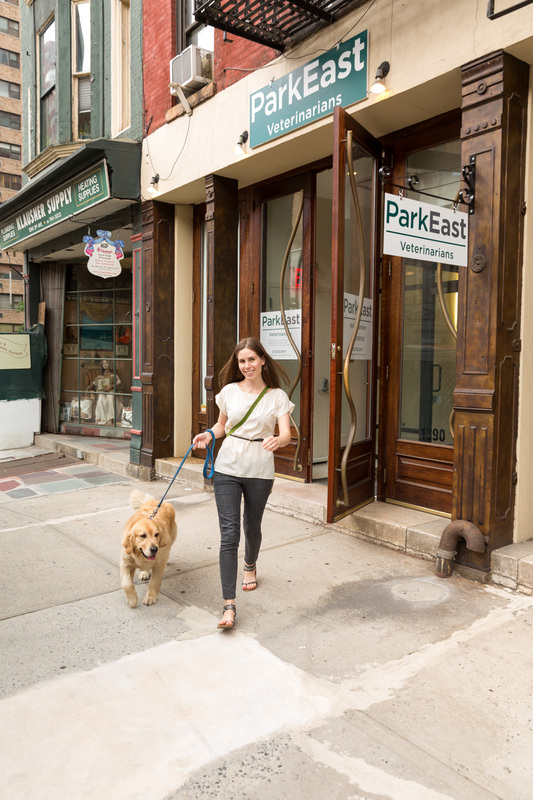 Vca Park East Animal Hospital - New York , United States