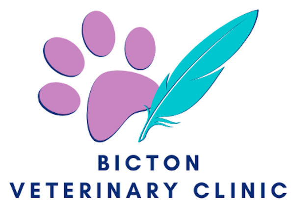 Bicton Veterinary Clinic - Bicton , Australia