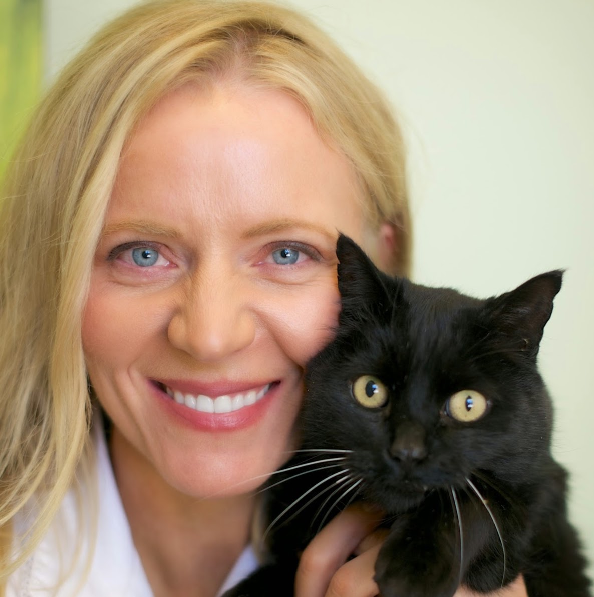 Steeples Veterinary Clinic - Cranbrook , Canada