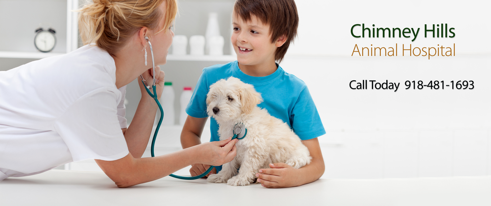 Chimney Hills Animal Hospital - Tulsa , United States