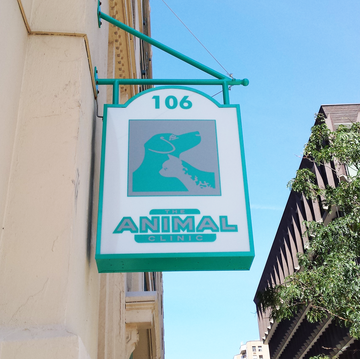 The Animal Clinic - Toronto , Canada