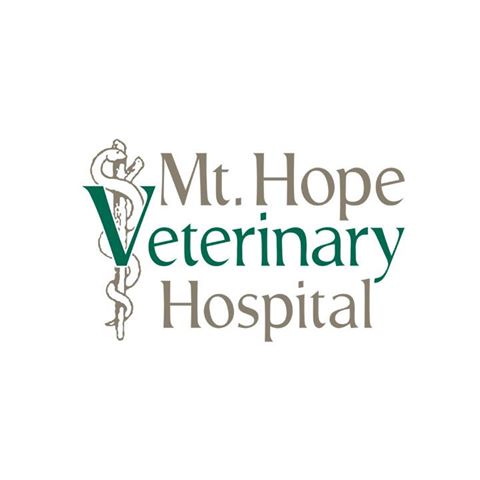 Mt Hope Veterinary Hospital - Lansing , United States