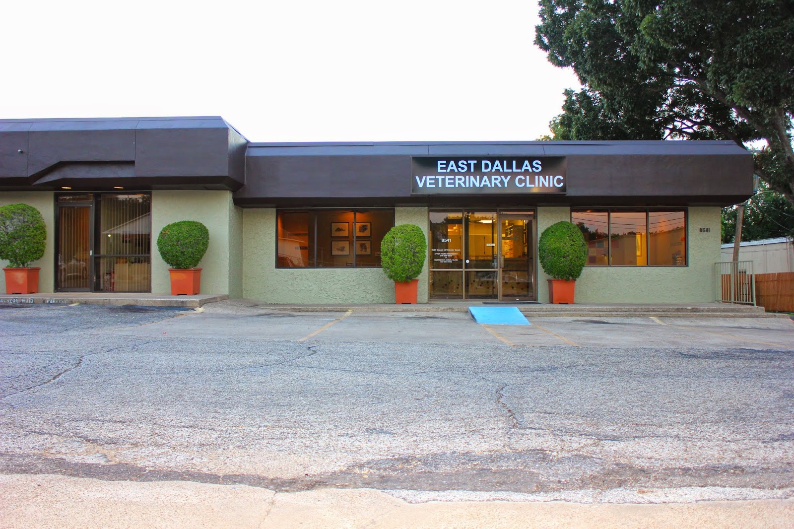 East Dallas Veterinary Clinic - Dallas , United States