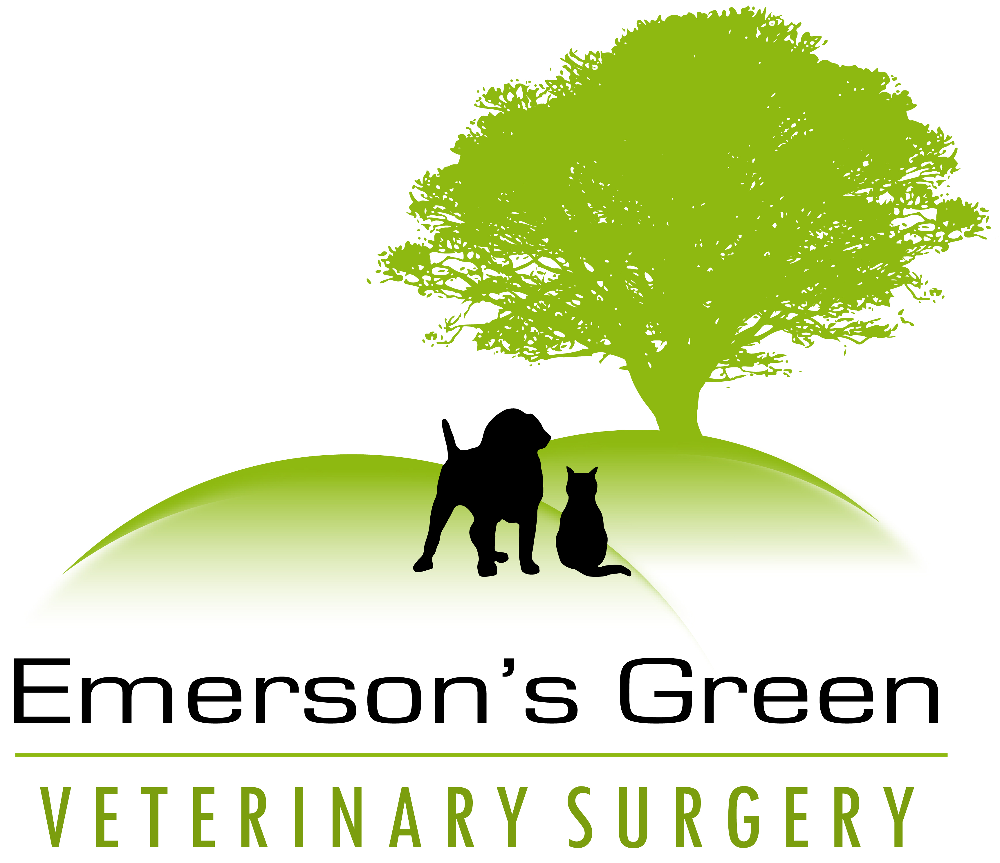 Emersons Green Veterinary Surgery - Bristol , United Kingdom