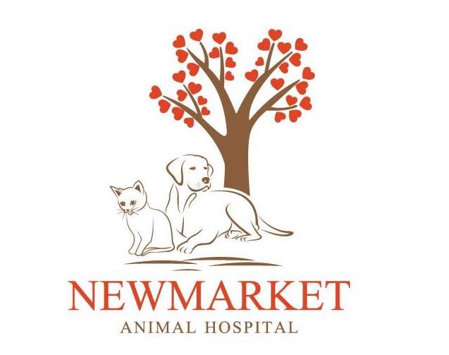 Newmarket Animal Hospital - Newmarket , Canada