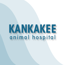 Kankakee Animal Hospital - Kankakee , United States