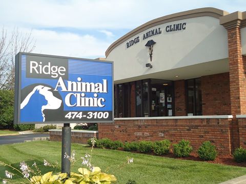 Ridge Animal Clinic - Lansing , United States