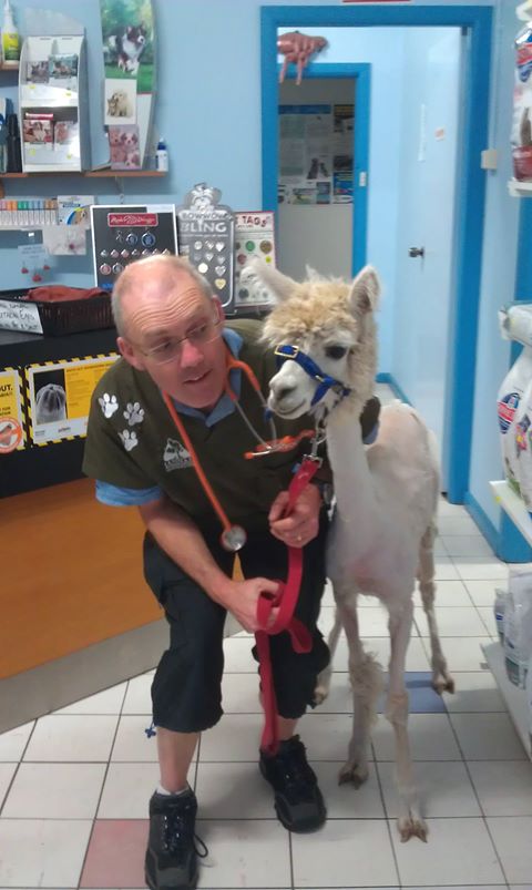 Jannali Veterinary Clinic - Jannali , Australia