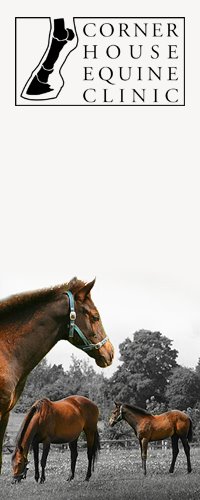 Corner House Equine Clinic - Henley-in-Arden , United Kingdom