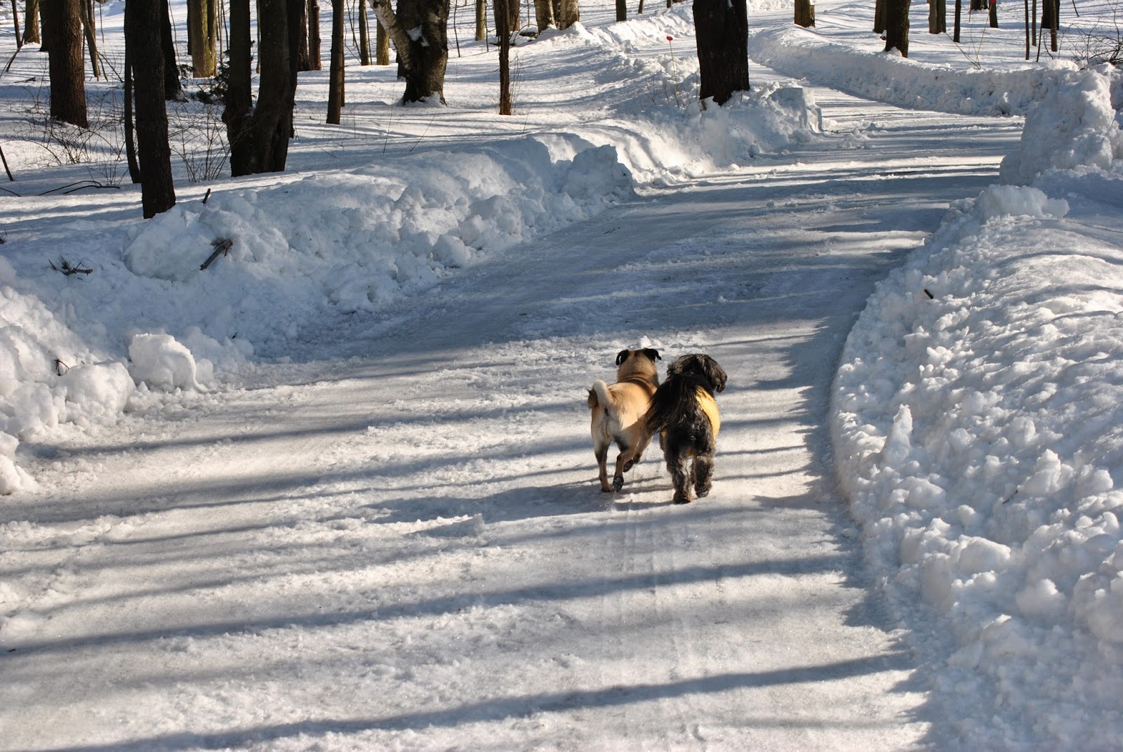 Gananoque Veterinary Clinic - Gananoque , Canada