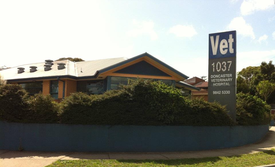 Doncaster Veterinary Hospital - Doncaster East , Australia