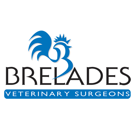 Brelades Veterinary Surgeons - Guildford , United Kingdom