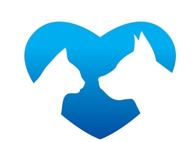 Townline Veterinary Hospital - Abbotsford , Canada