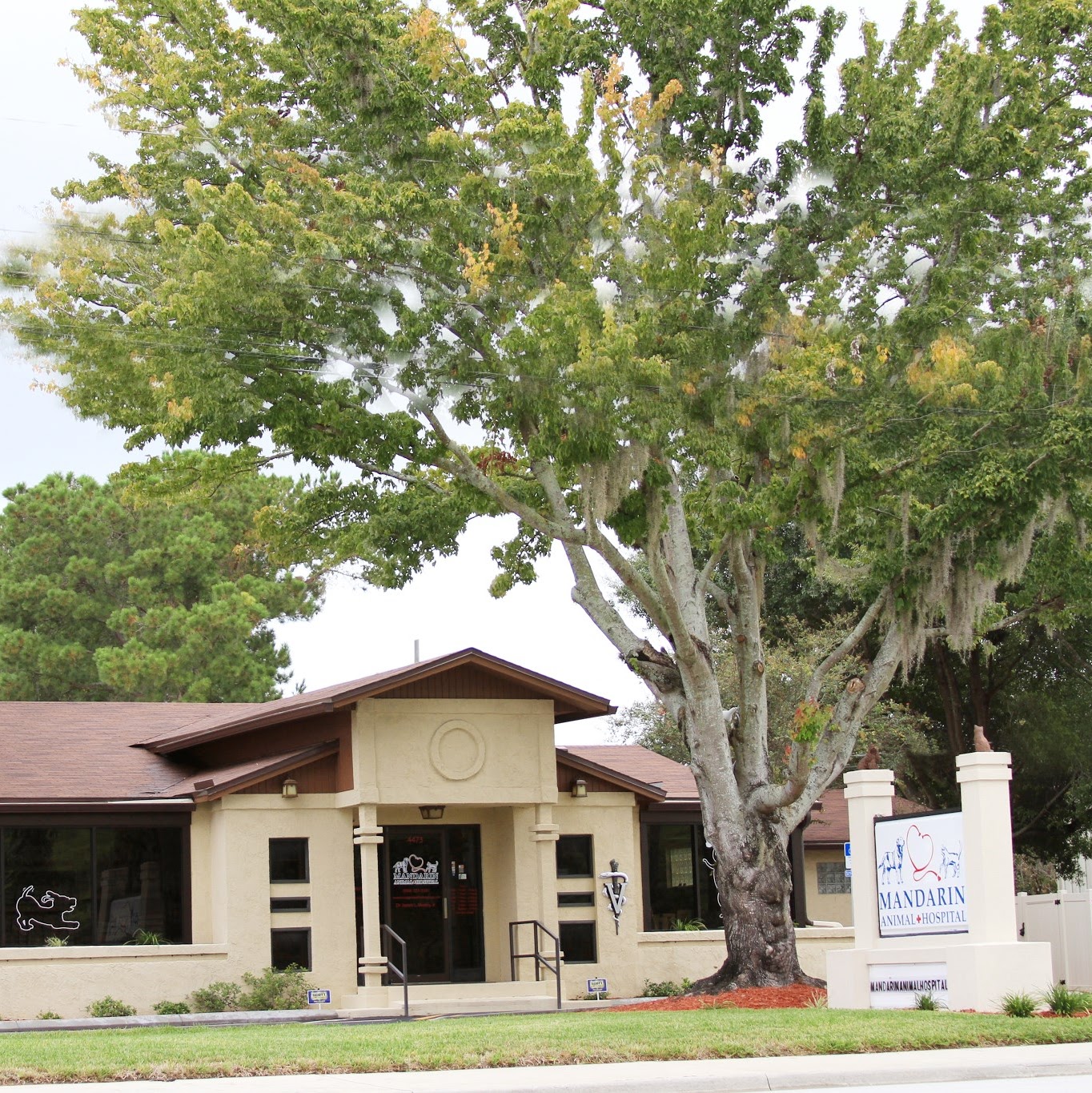 Mandarin Animal Hospital - Jacksonville , United States
