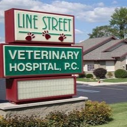 Line Street Veterinary Hospital - Columbia City , United States