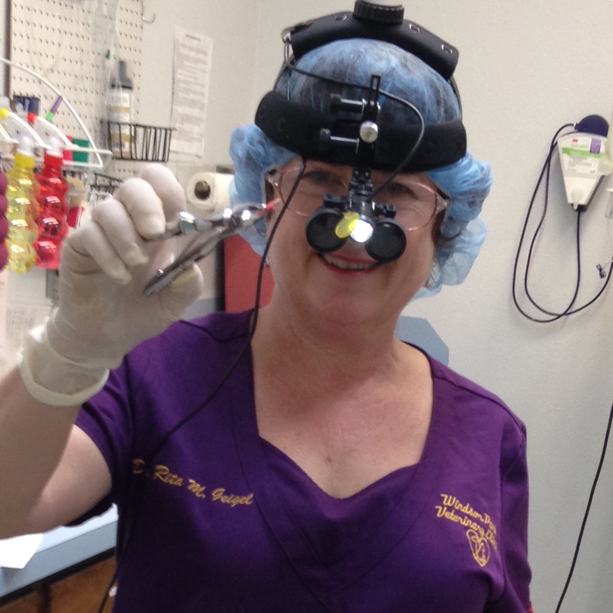 Windsor Park Veterinary Clinic - Austin , United States