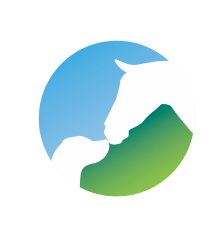 Donnington Grove Veterinary Group - Tadley , United Kingdom
