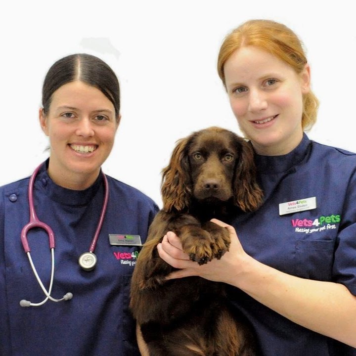 Vets4Pets Dorchester - Dorchester , United Kingdom