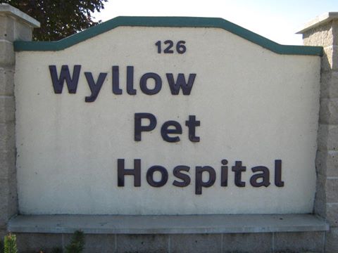 Wyllow Pet Hospital - Beaver Dam , United States