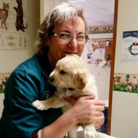 La Vega Veterinary Clinic - Waco , United States
