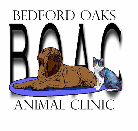 Bedford Oaks Family Vet - Bedford , United States