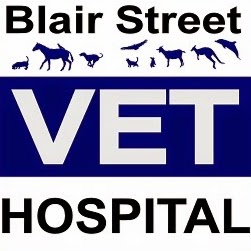 Blair Street Veterinary Hospital - Bunbury , Australia