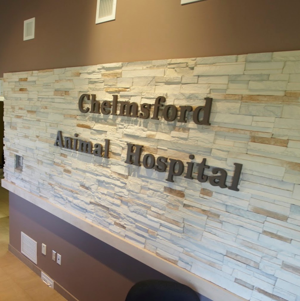 Chelmsford Animal Hospital - Chelmsford , Canada