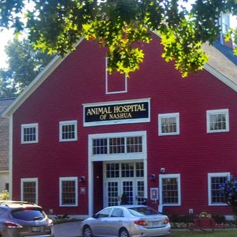 Animal Hospital Of Nashua - Nashua , United States