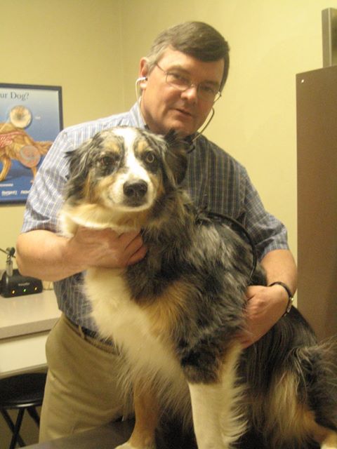 Tyler Veterinary Clinic - Davis Junction , United States