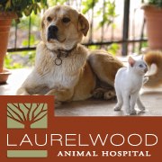 Laurelwood Animal Hospital - Beaverton , United States