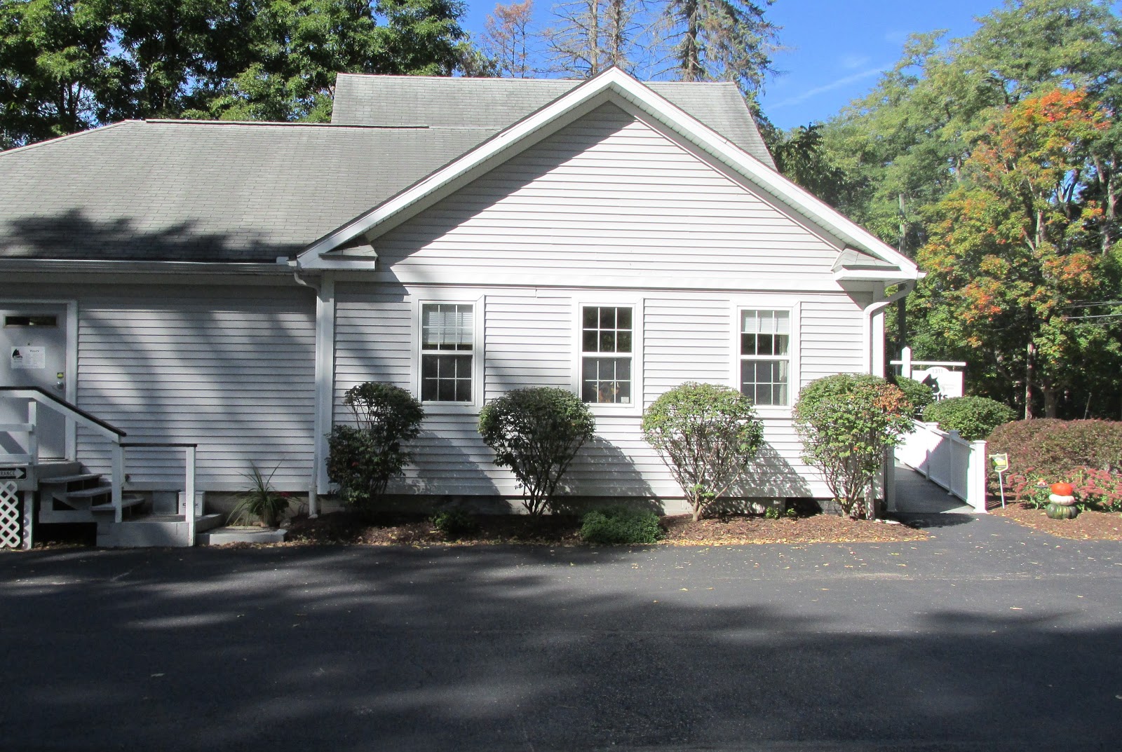 Cats Exclusively Veterinary Hospital - Pittsford , United States