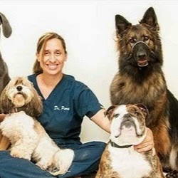 Parkview Animal Hospital - St. Petersburg , United States