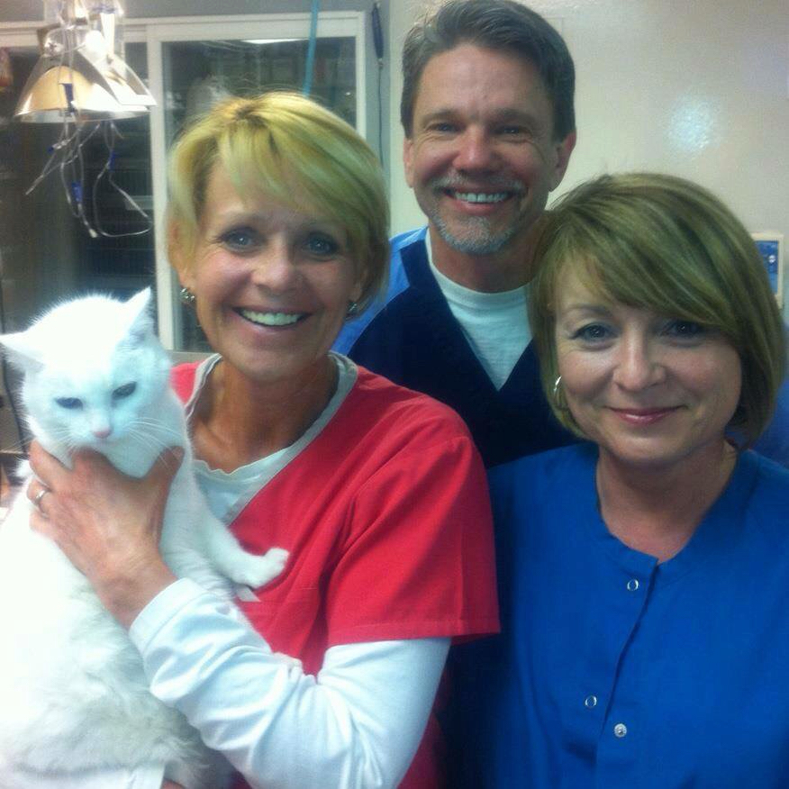 Brandon Animal Hospital - Brandon , United States
