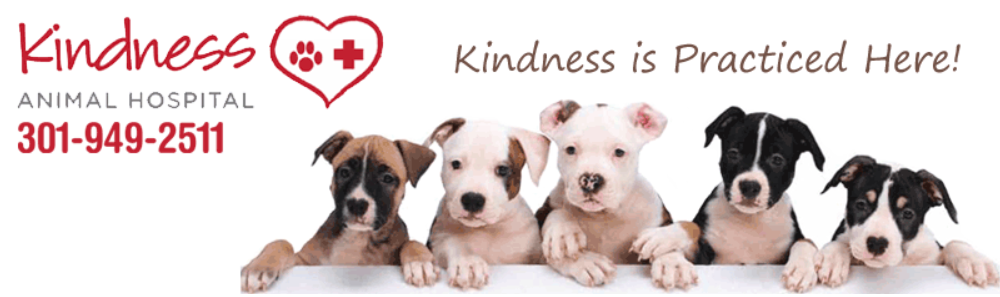 Kindness Animal Hospital - Wheaton , United States