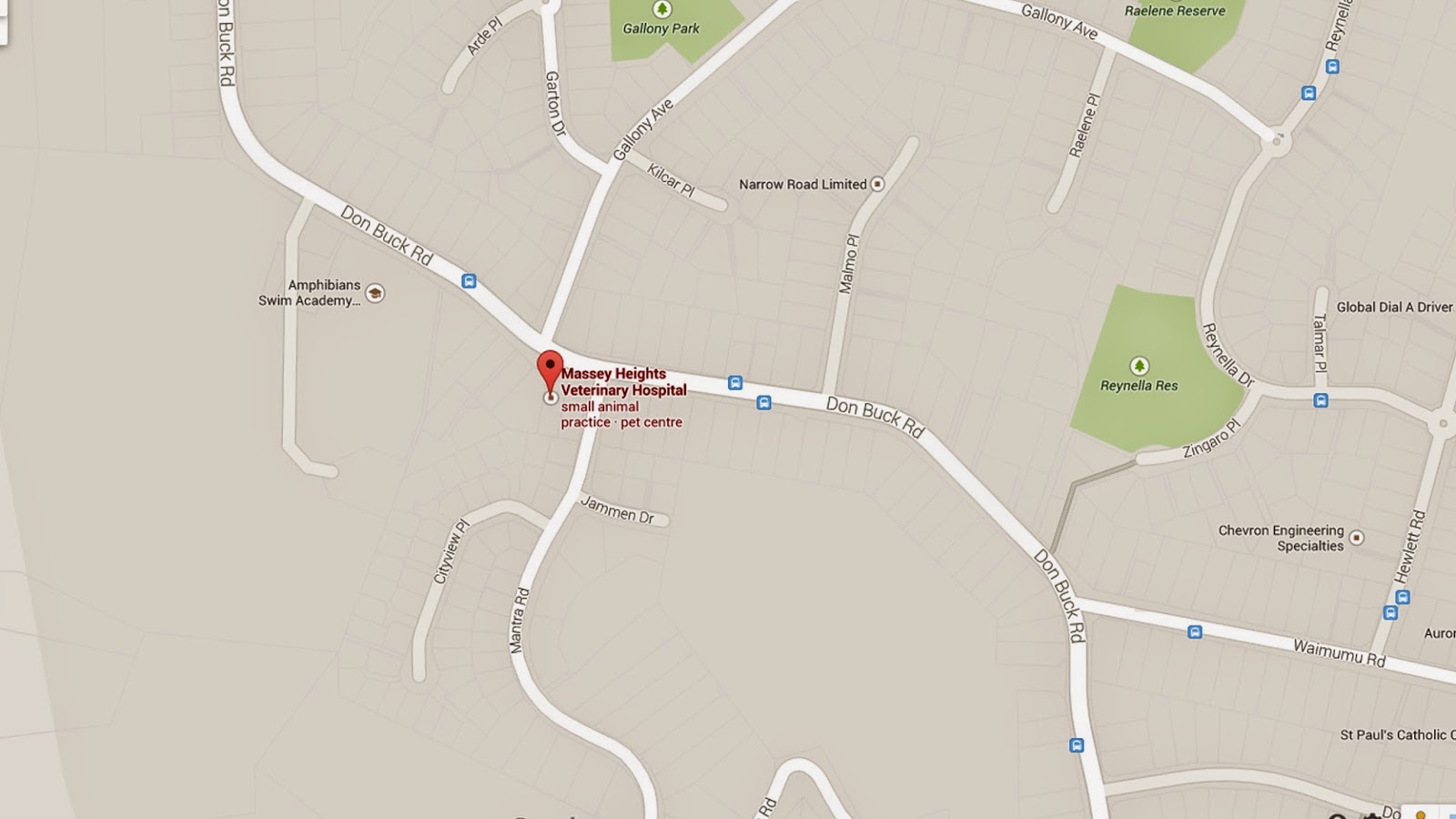 Massey Heights Veterinary Hospital - Massey , New Zealand