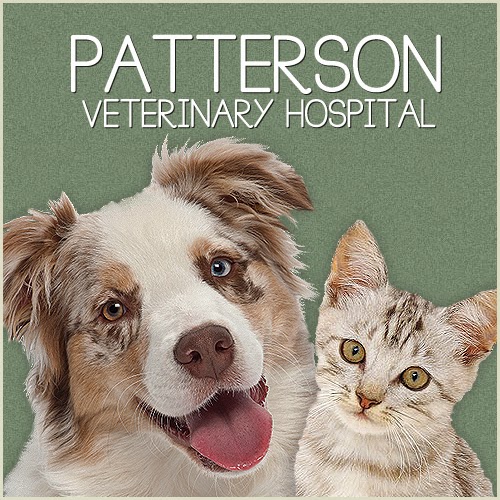 Patterson Veterinary Hospital Mason - Mason , United States
