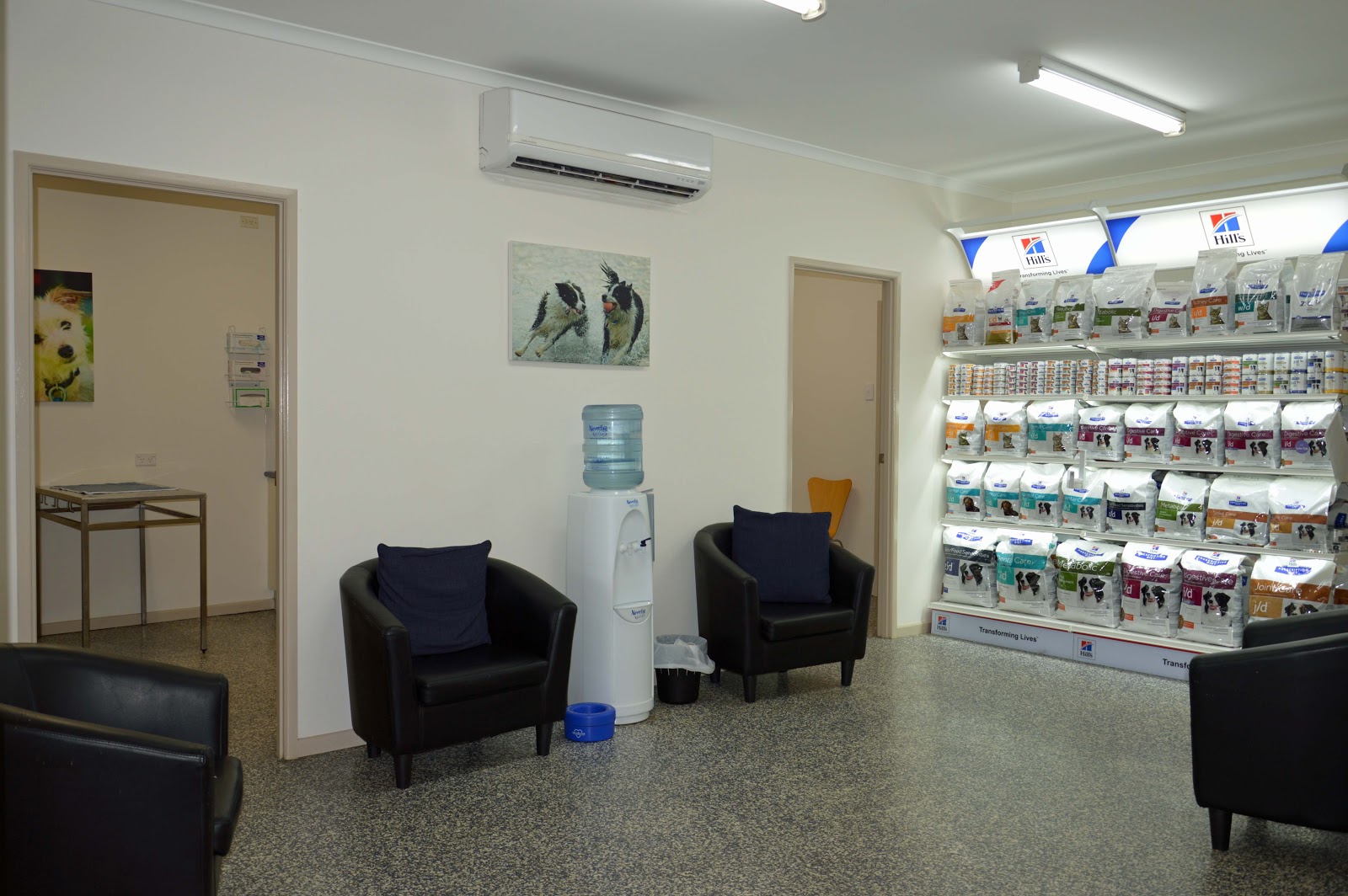 Fraser Coast Veterinary Services - Maryborough , Australia