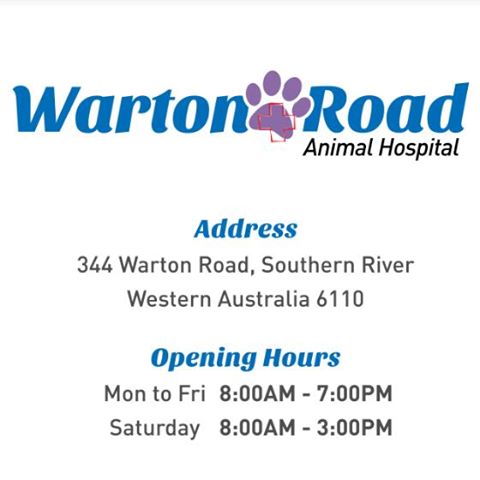 Warton Road Small Animal Hospital - Southern River , Australia