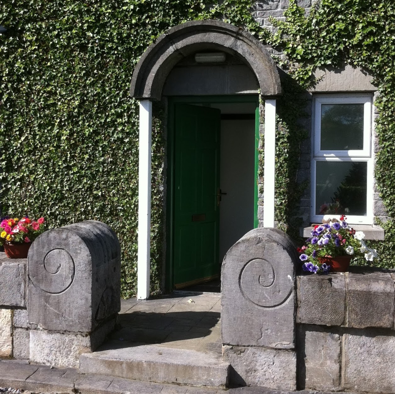 Green Veterinary Centre - Boyle , Ireland