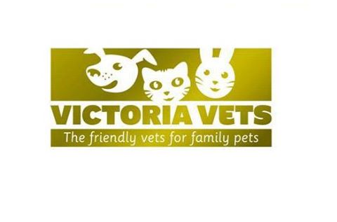 Victoria Vets Chapel - High Peak , United Kingdom