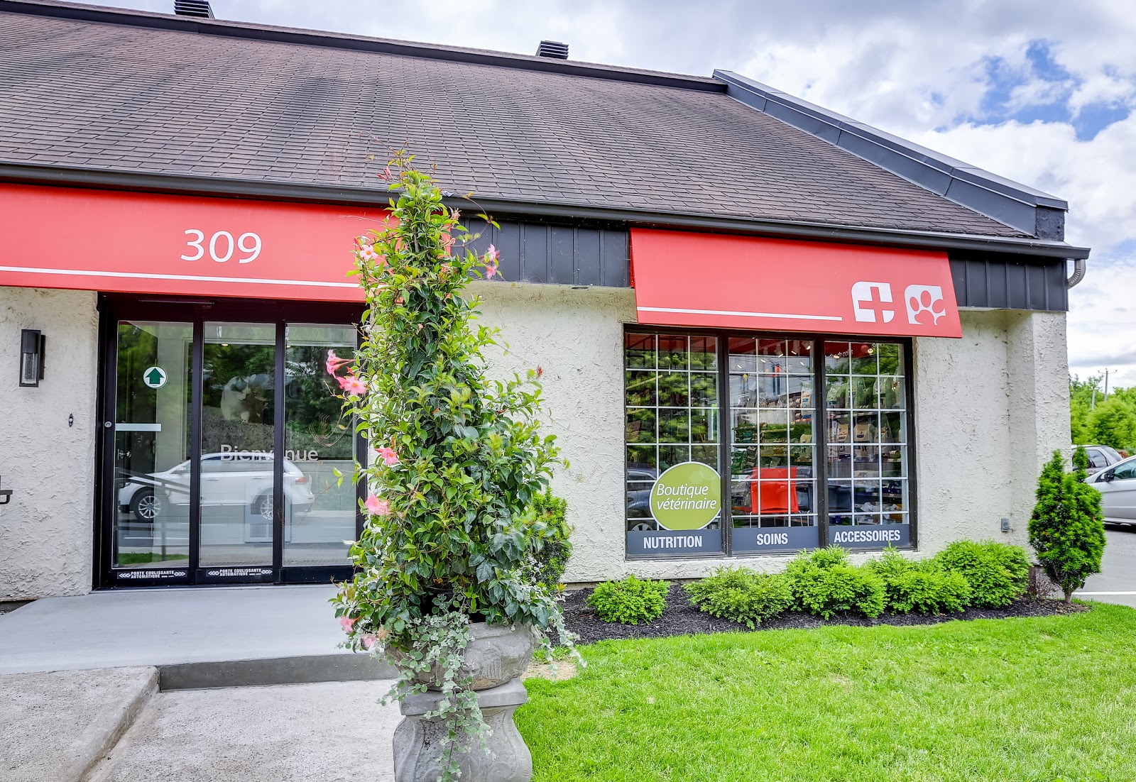 Hôpital Vétérinaire Victoria St Lambert Vet Et Nous - Saint-Lambert , Canada