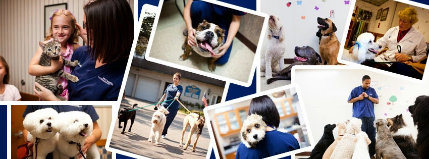 Bryn Mawr Veterinary Hospital - Bryn Mawr , United States