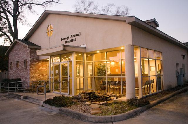 Bocage Animal Hospital - Baton Rouge , United States