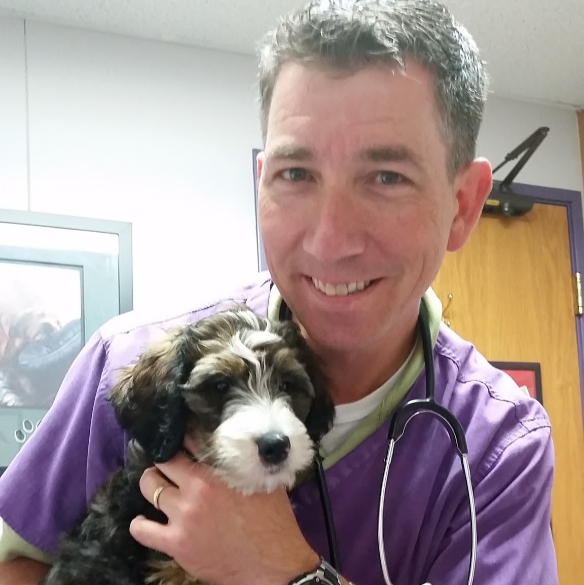 Petworks Veterinary Hospital - Overland Park , United States