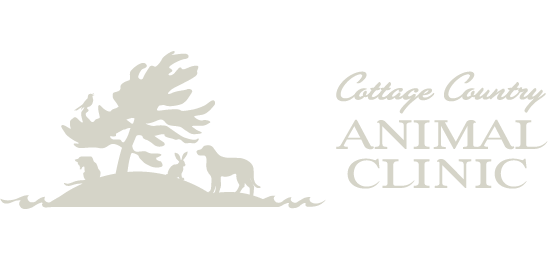 Cottage Country Animal Clinic - Parry Sound , Canada