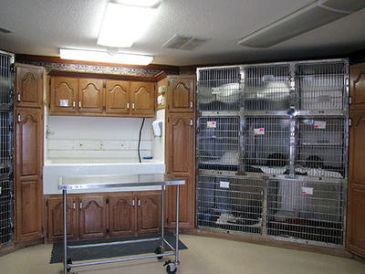 Business's Photo