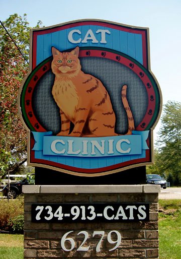 Country Cat Clinic - Plymouth , United States